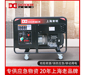 東明單三相20kw小型應急備用汽油發電機組 DMDS22000CXD/YJ