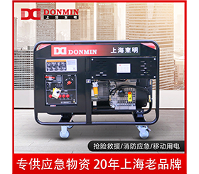 東明單三相10kw便攜式應急小型柴油發(fā)電機組DMDS12000LE/YJ