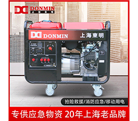 東明單三相10kw應急儲備小型汽油發電機組 DMDS12000CXD/YJ