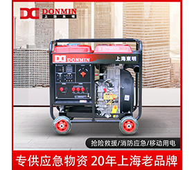 東明單三相8kw小型應急便攜式柴油發電機組 DMDS10000LE/YJ